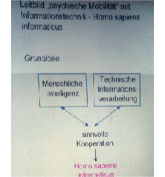 bild19