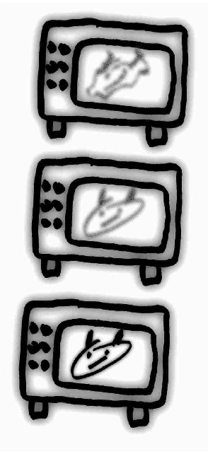 scan