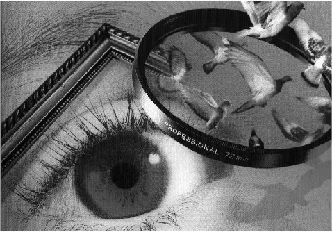 Photoshop
