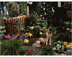Image103.GIF