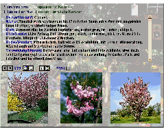 Image104.GIF