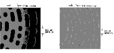 Fig3