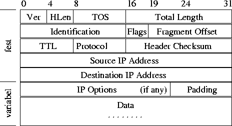 \begin{figure}
\begin{center}
\leavevmode\epsfbox{pictures/ip-header.ps}\end{center}\end{figure}