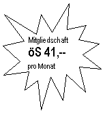 Explosion 1: Mitgliedschaft
�S 41,--
pro Monat

