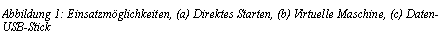 Textfeld: Abbildung 2: Einsatzm�glichkeiten, (a) Direktes Starten, (b) Virtuelle Maschine, (c) Daten-USB-Stick